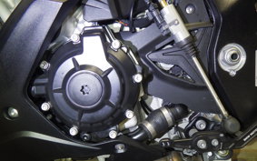 BMW S1000RR M DDC 2025
