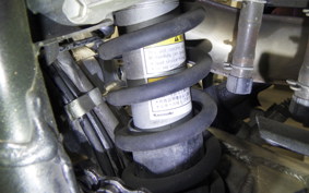 KAWASAKI SUPER SHERPA 2020 KL250G