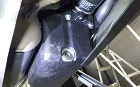 TRIUMPH DAYTONA660 2024