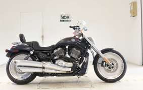 HARLEY V-ROD 1130 2005