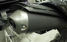 HONDA CRF250 RALLY A 2010 MD44