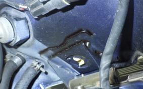 DUCATI MONSTER S4R 2005