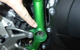 KAWASAKI NINJA H2 2019