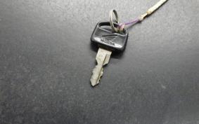 HONDA LITTLE CUB 2000 C50