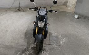 HONDA ZOOMER-X JF62
