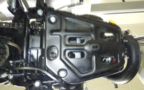 SUZUKI TS250 2017 TS2503