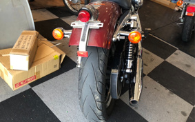 HARLEY XL883 2005 CAM