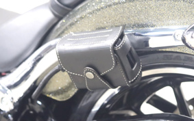 HARLEY FXSB 2015 BFV