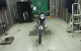 KAWASAKI 250SS 2010 S1F