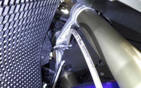 BMW S1000RR M DDC 2022