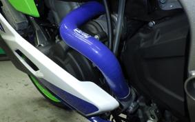 KAWASAKI ZX-4RR 2024 ZX400P