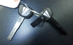 KAWASAKI ZX-4R SE 2024 ZX400P