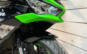 KAWASAKI NINJA ZX-6R 2020 ZX636G