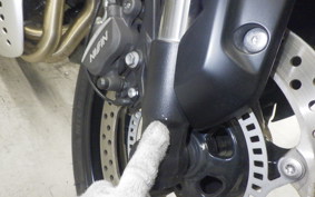 TRIUMPH TRIDENT 660 2022