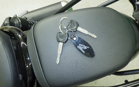 HONDA REBEL 250 2025 MC49