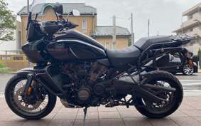 HARLEY PAN AMERICA 1250 2021 ZES