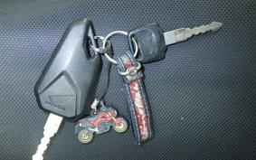 HONDA GROM 2009 JC75