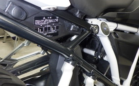 BMW R1250R 2019