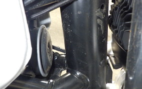 BMW R NINE T PURE 2024