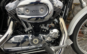 HARLEY XL1200C 2005 CGP