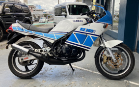 YAMAHA RZ250R 29L
