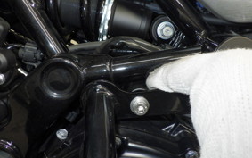 KAWASAKI Z900RS 2024 ZR900K