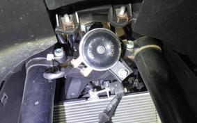 YAMAHA YZF-R25 A 1994 RG43J