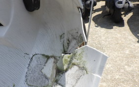 HONDA C50 SUPER CUB C50