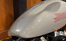 HARLEY FXST1340-1450 2024 BVJ
