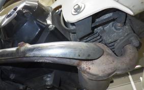 HONDA LITTLE CUB AA01