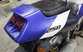 KAWASAKI ZXR250 2021 ZX250A
