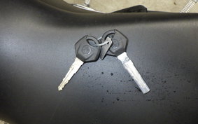 YAMAHA MT-25 A RG95J