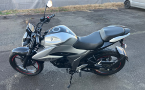 SUZUKI JIKUSA-150 ED13N