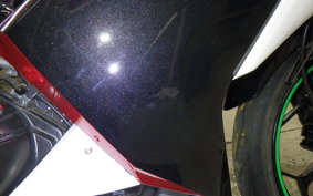 KAWASAKI NINJA 250 2002 EX250L