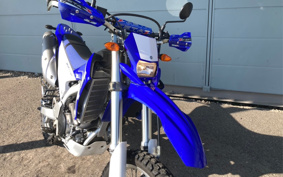 YAMAHA WR250R DG15J