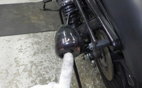 HARLEY XL883N 2017
