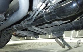 HARLEY XL1200NS 2019