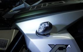 TRIUMPH TIGER 800 2019