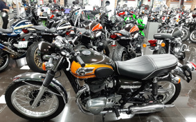 KAWASAKI W800 FE 2020 EJ800A