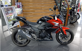 KAWASAKI Z250 ER250C