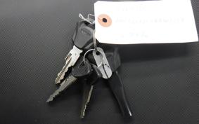 TRIUMPH DAYTONA660 2024