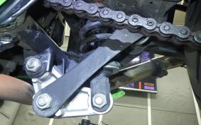 KAWASAKI NINJA 250 EX250L