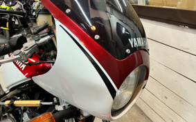 YAMAHA RZ250R 29L