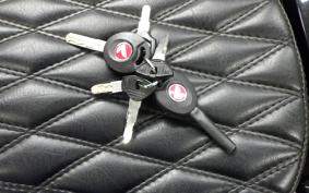 HONDA CT125 HUNTER CUB 2017 JA55