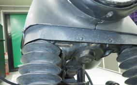 HARLEY FLSTF 1450 2001