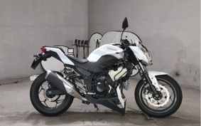 KAWASAKI Z250 ER250C