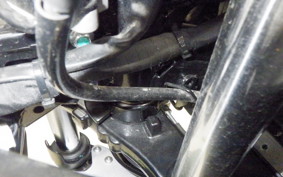 SUZUKI GSX250 R 2009