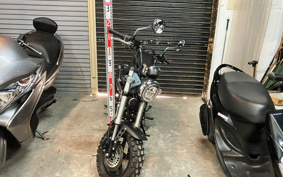 HONDA  DUX 125 JB04