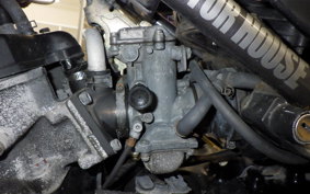 YAMAHA RZ250R 2007 29L