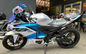 YAMAHA YZF-R25 RG95J